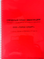 Сводный план эвакуации формата А4, 210х297 мм Сводный план эвакуации формата А4, 210х297 мм